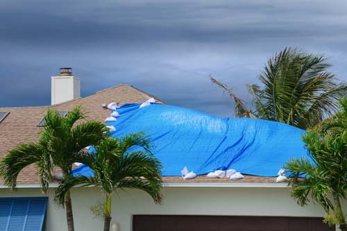 Blue tarp over a damaged roof.